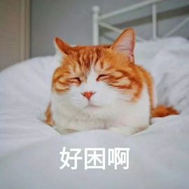 專屬❤的图片