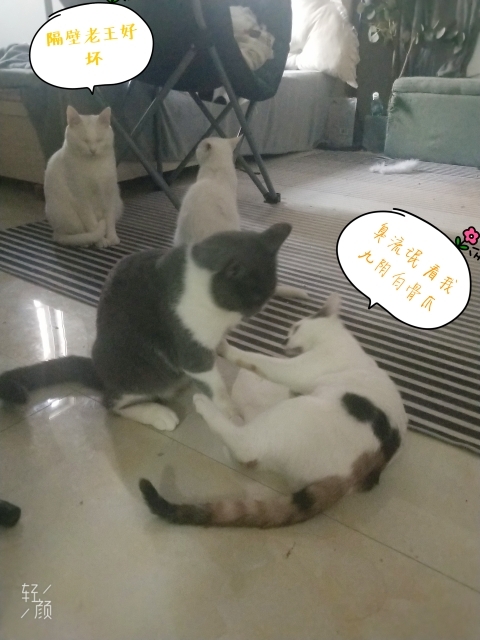 情情(调整心态)休的主播照片