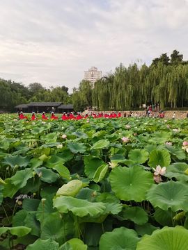 🥨随心情主播照片