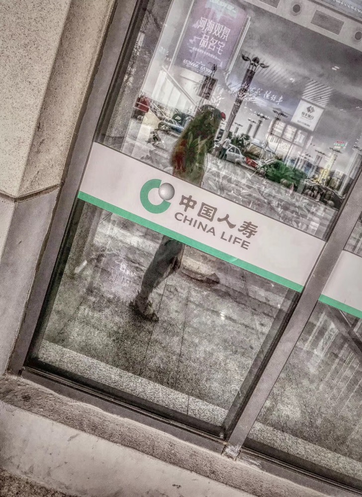 暖饱饱🎋的图片