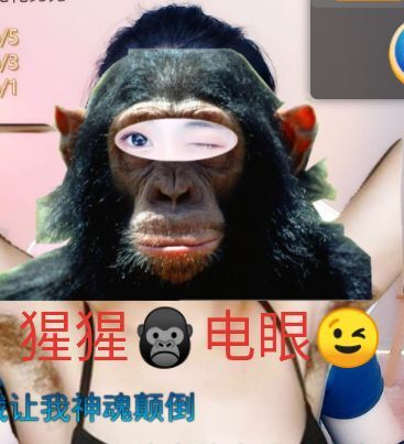 花无缺的故事结束啦的图片