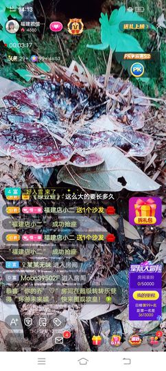 ……若主播照片