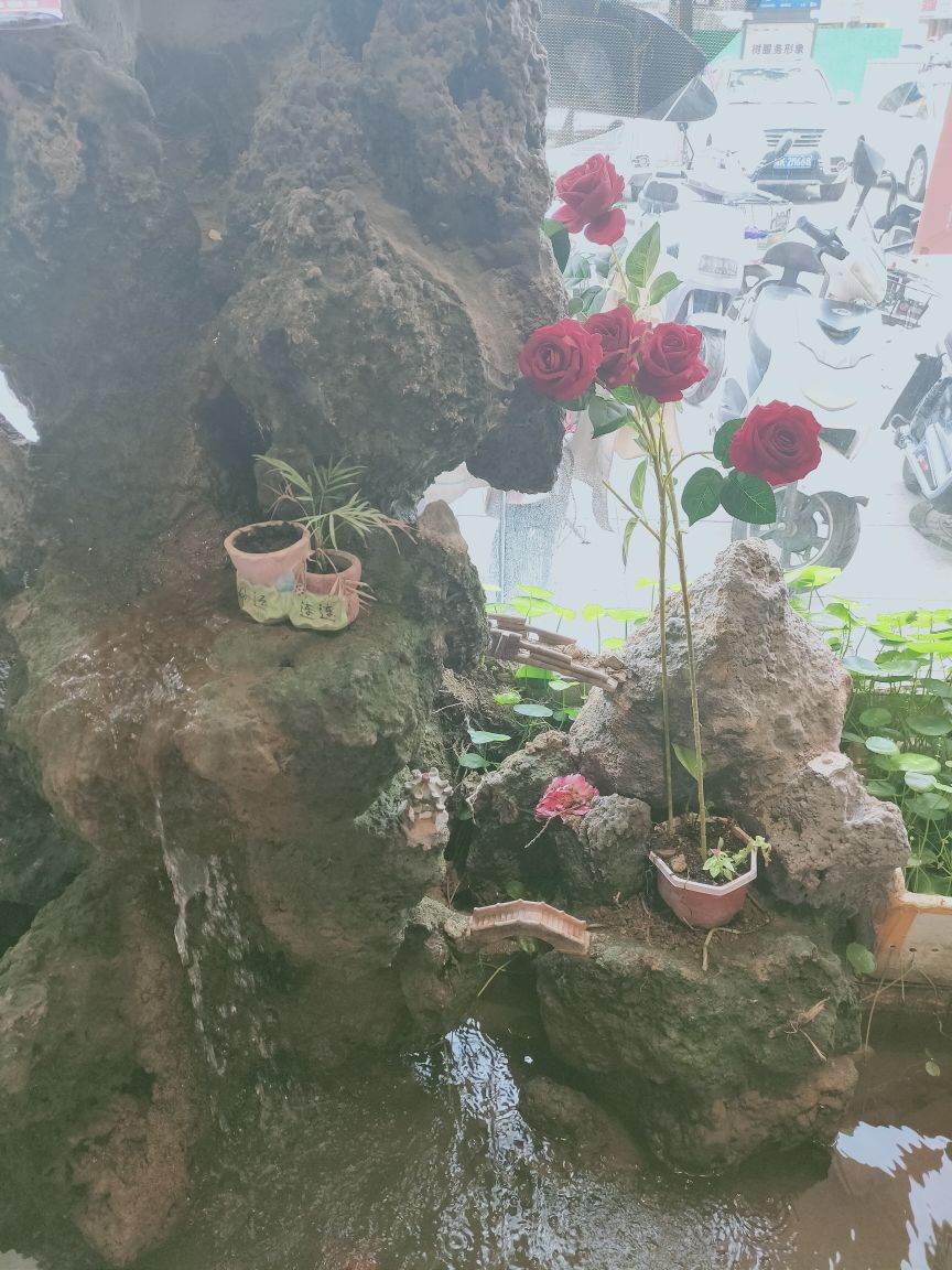 婷婷💕感恩有你陪伴的图片