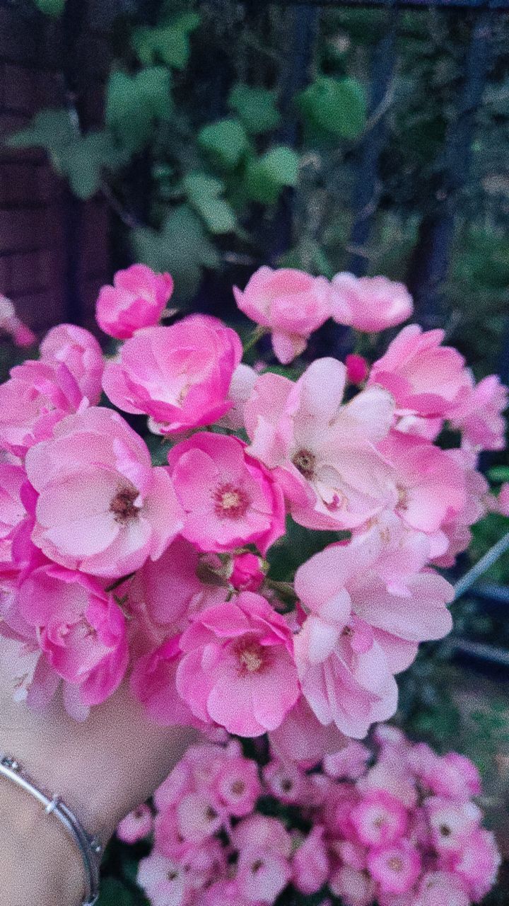 婷婷💕感恩有你陪伴的图片