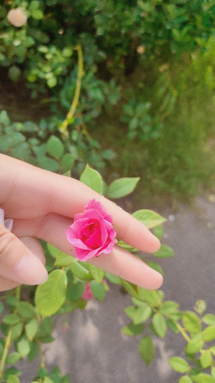 婷婷💕感恩有你陪伴的图片