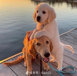 敢敢^O^主播照片
