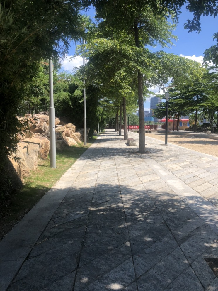 小海屯🐬李的图片