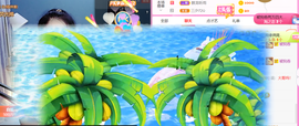 ━☆简希づ休息中主播照片