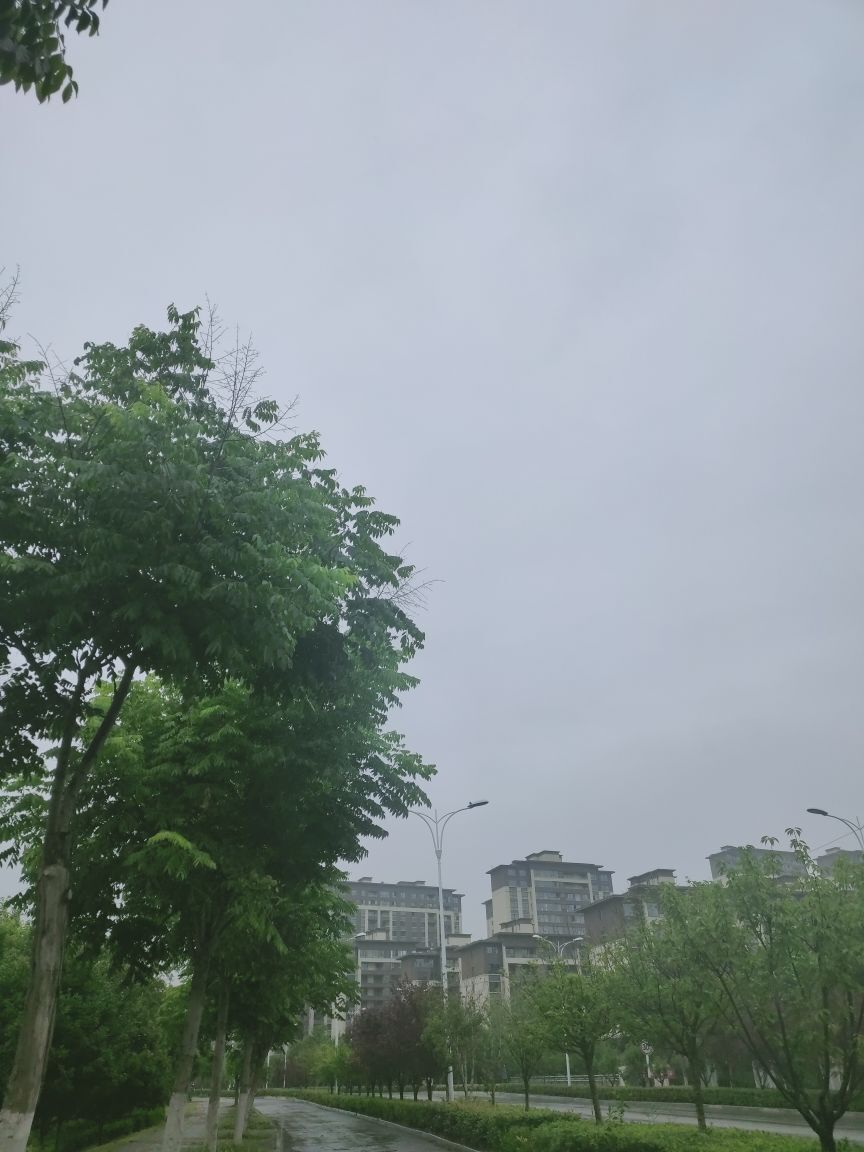 婷婷💕感恩有你陪伴的图片
