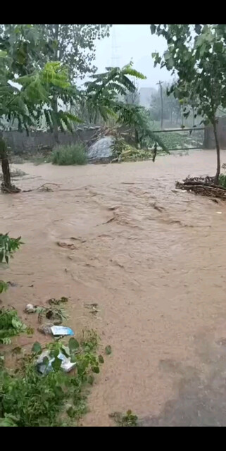 村上水沟漫水了