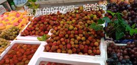 我就是那个抱枕的图片