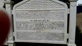 实力决定话语权主播照片