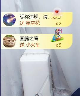 *菜园子*的图片