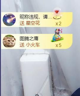 *菜园子*主播照片