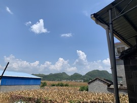 萌妃不甜了主播照片