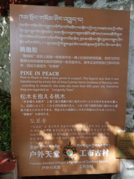 实力决定话语权主播照片