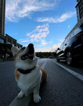 想你得夜~~！主播照片