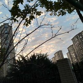 一叶知秋🔮冷暖自知主播照片