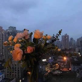 ━☆简希づ休息中主播照片