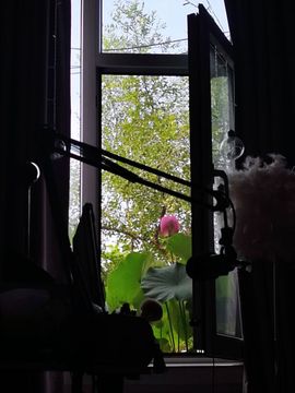 ღ瑋玮主播照片
