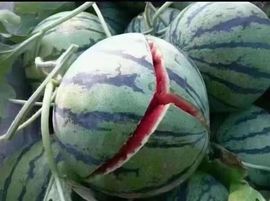 吴小优主播照片