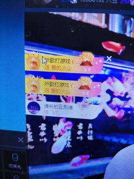 黄老邪-28581主播照片