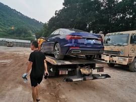 春来夏回秋不在的图片
