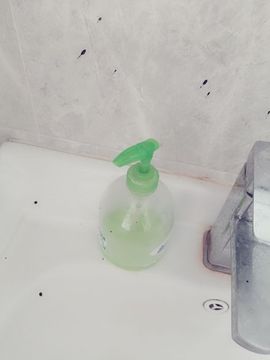 温暖宝宝暂停键明天见主播照片