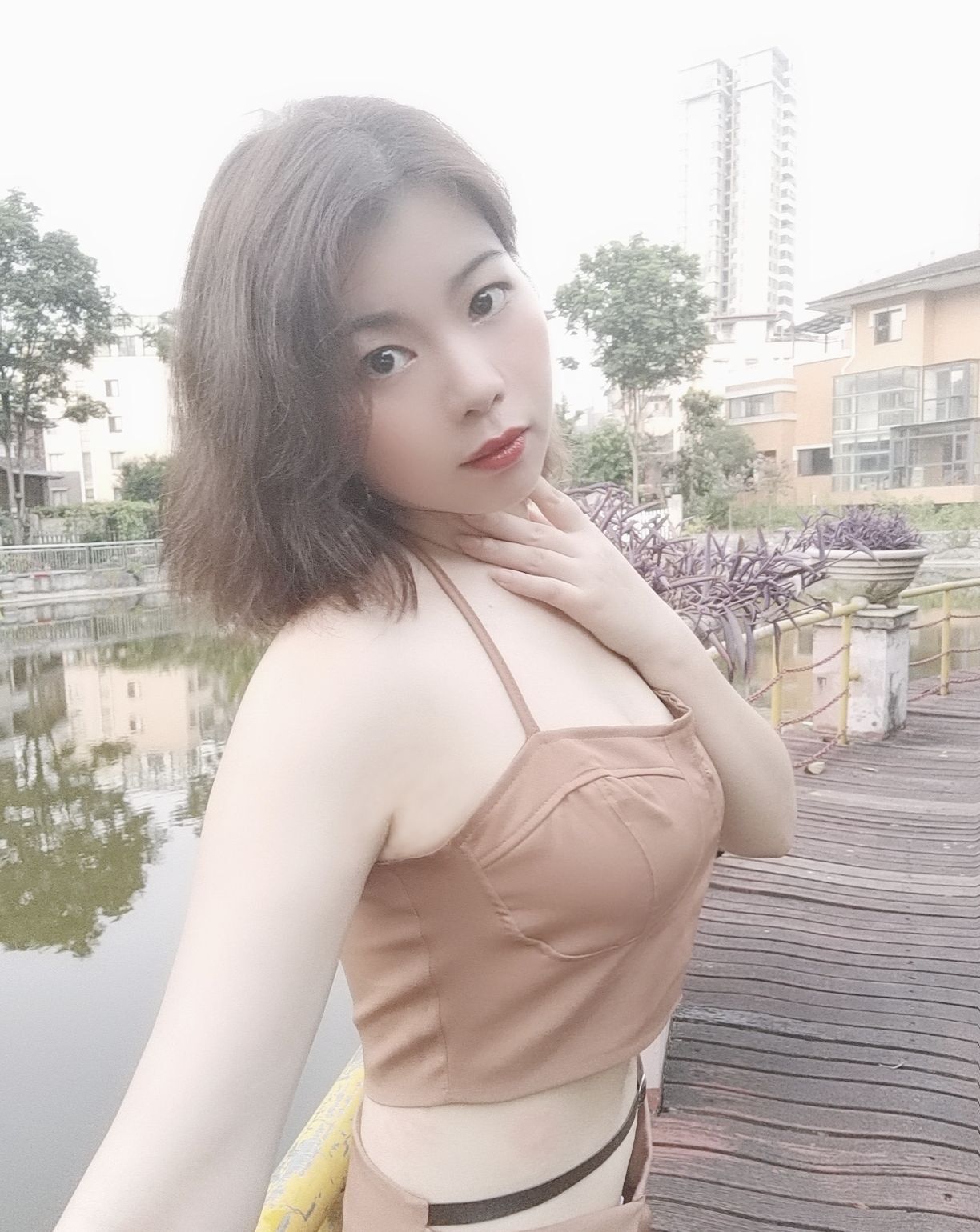 一树梨花压海唐同学☞的图片