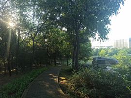 My*风景的图片