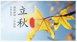 羊zybj主播照片