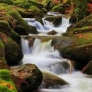 君醉.依然长情