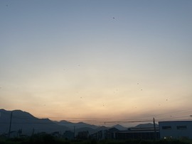 珏恋呀主播照片
