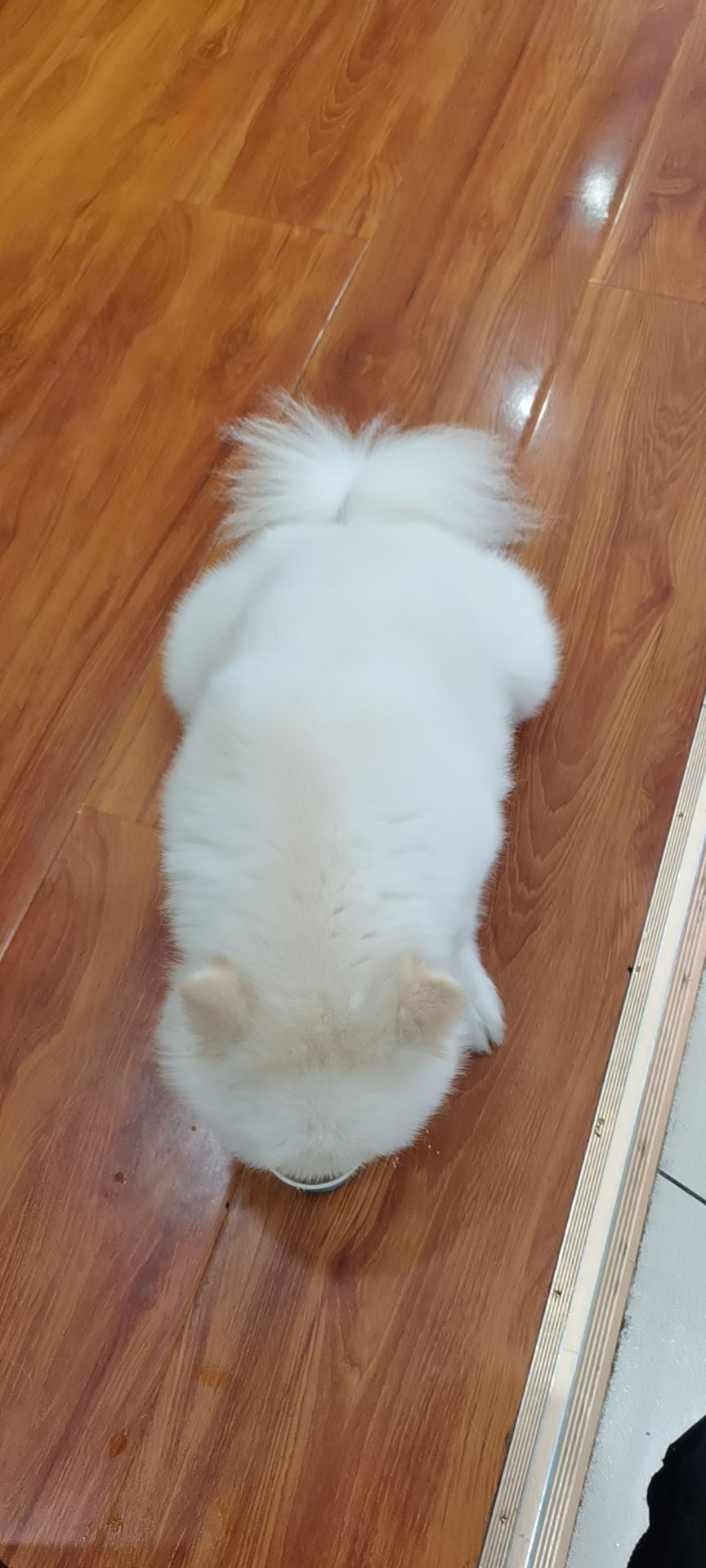 团团🎀好运连连的图片