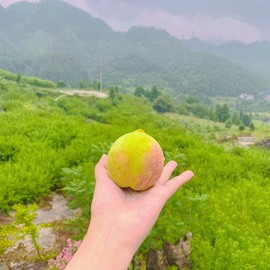 露露🎤主播照片