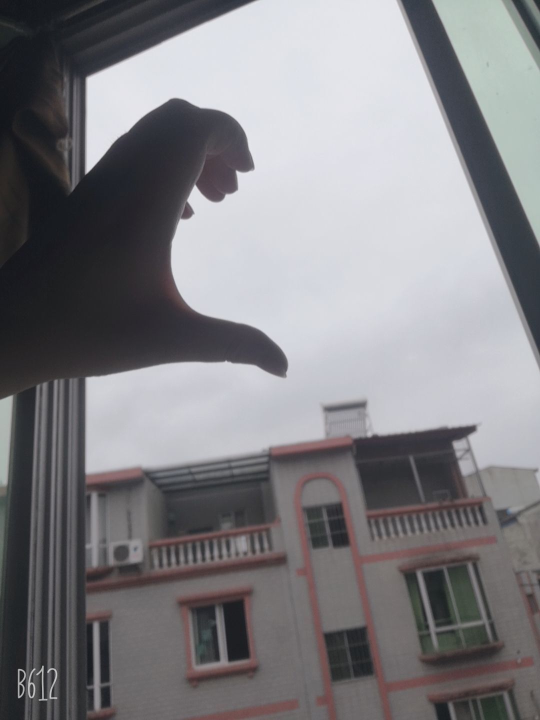 只会干饭的瑶瑶的主播照片