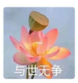 现实✔差距主播照片