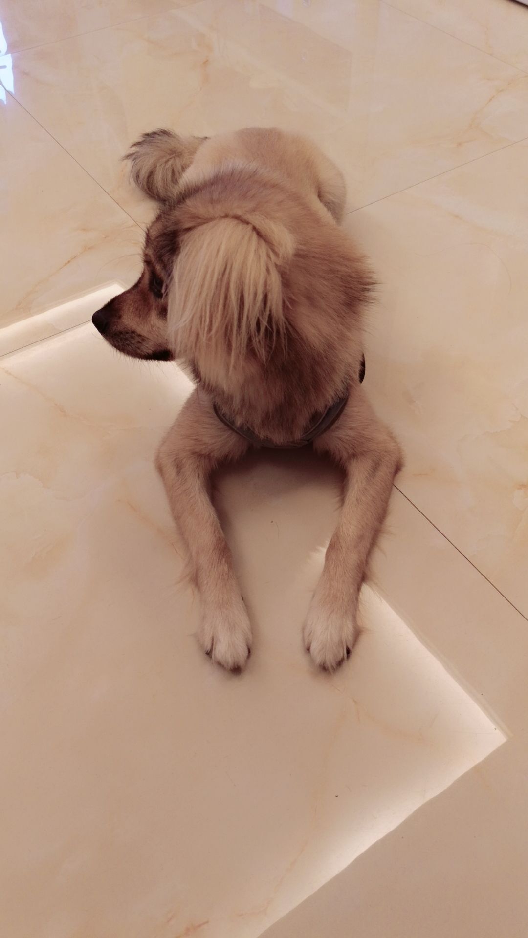 福寜~的主播照片