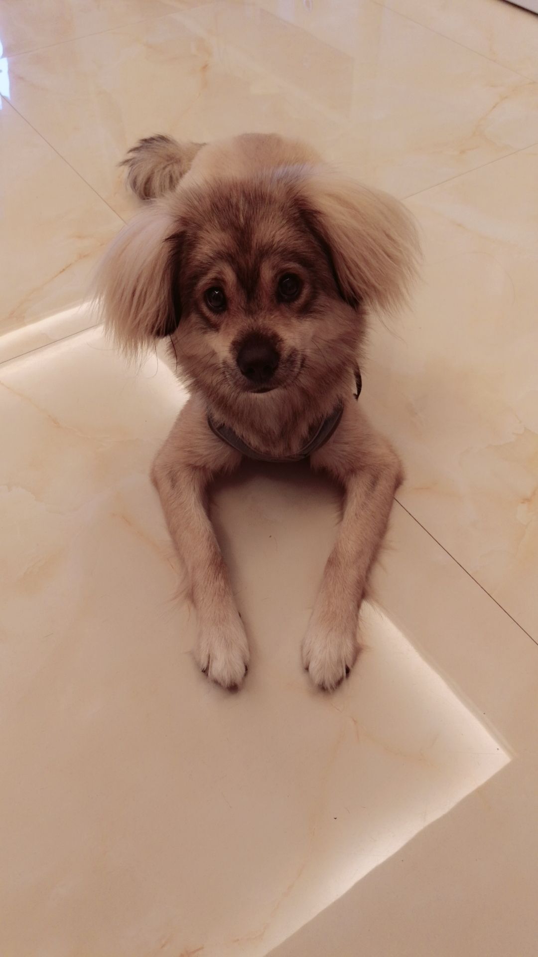 福寜~的主播照片