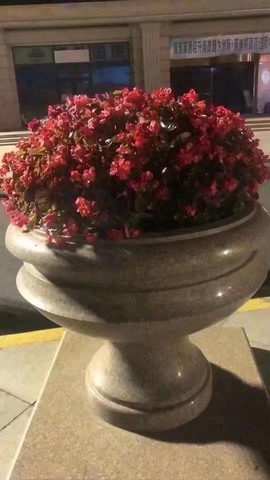 小猪呜呜呜主播照片