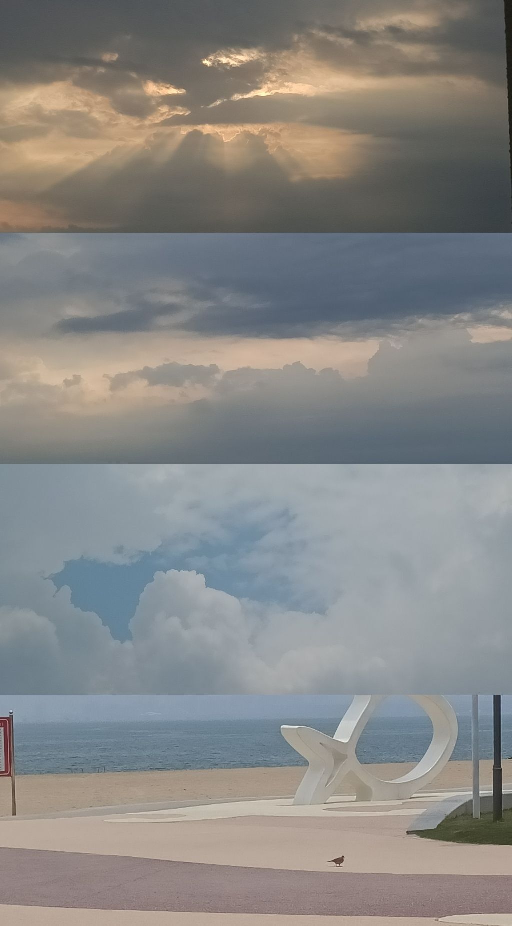 花无缺的故事结束啦的图片