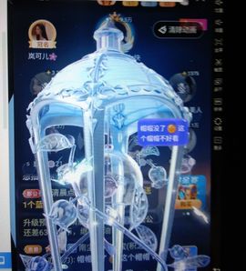 暮雪🍁升7冠主播照片