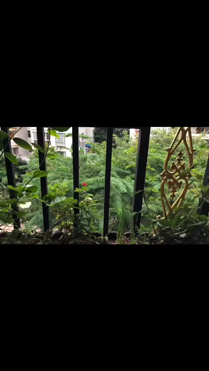 打出  如果可以..