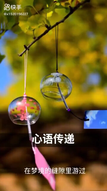 世上最美丽的相逢，莫