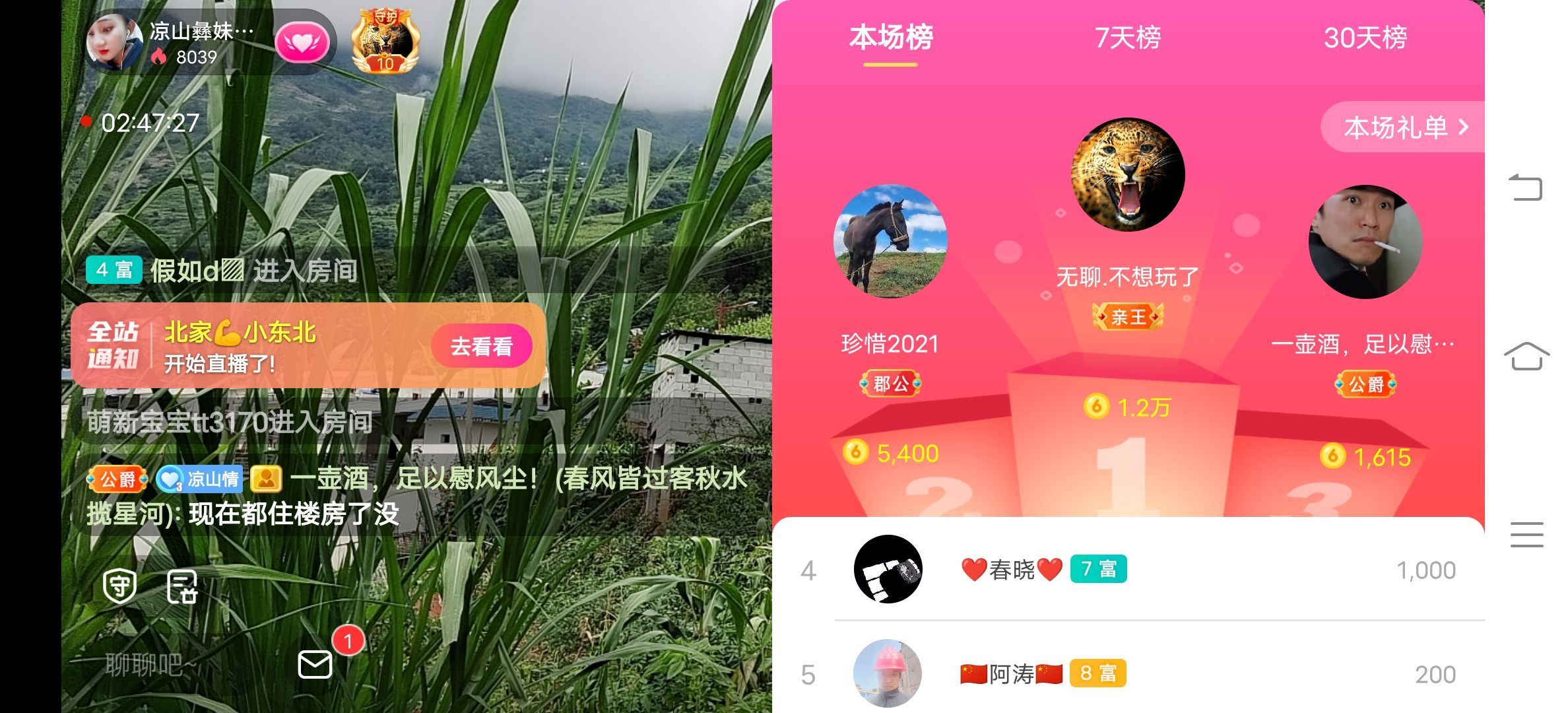 凉山彝妹的图片