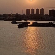 魚䲆鱻䲜...