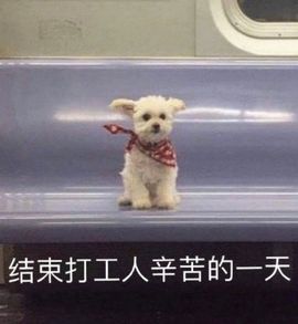 亲亲小虾主播照片