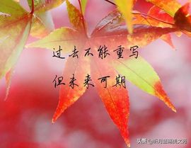 沁馨ღ求百元榜主播照片