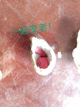 现实✔差距主播照片