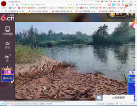 保利哥主播照片